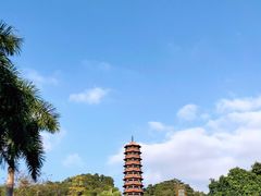 -红花山公园