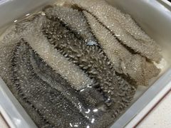 鲜毛肚-川西坝子火锅(金沙1.0直营店)