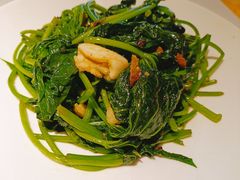 拍蒜豆豉鲮鱼炒番薯叶-汤城小厨•粤菜•靓汤(金宝街店)