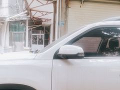 -普宁反沙番薯芋头