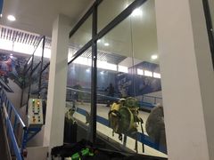 -零度滑雪室内训练中心(莘庄店)