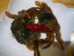 -吉之仙•中国制造•出口级食材日料店(领事馆总店)