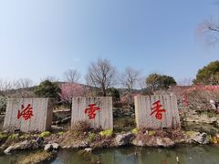 -香雪海