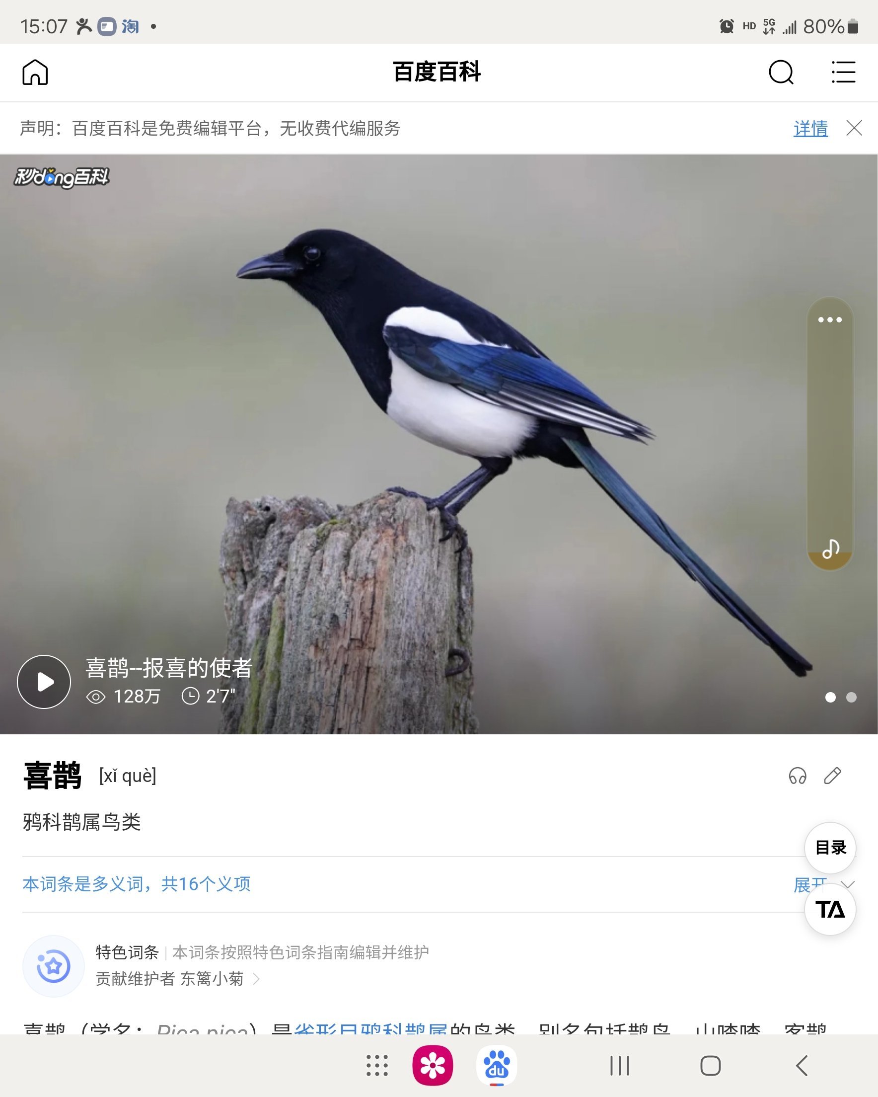短信怎么解锁喜鹊账号呢视频教程 短信怎么解锁喜鹊账号呢视频教程