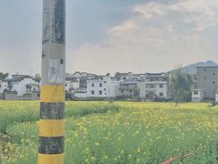 -新安江山水画廊风景区