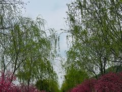 -南北湖风景区