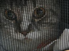 -爱侣宠医·鹦鹉专科·小型哺乳类·异宠专科(灵石路店)