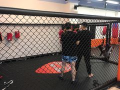 -体育科代表搏击散打体能训练馆(陶然亭店)