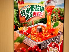 -海底捞火锅(高科东路店)