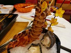 -鲜入围煮花胶鸡海鲜火锅