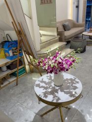 -MIDA蜜哒•科技逆龄美肤连锁