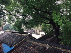 -观桥阁(锦溪店)