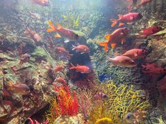 -太平洋海底世界