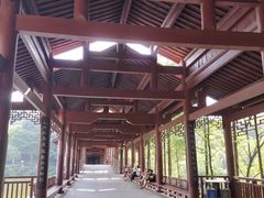 -重庆彩云湖湿地公园
