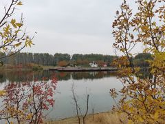 -东郊湿地公园