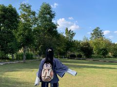 -溱湖国家湿地公园