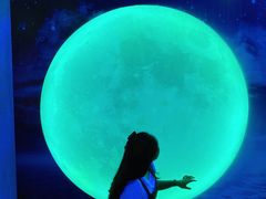 -天津梵高星空艺术馆(天河城旗舰店)
