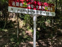 -云碧峰国家森林公园