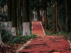 -莫干山风景区