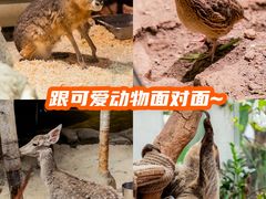 -正佳极地海洋世界