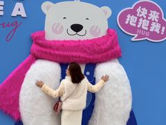 -海合安成都极地海洋公园
