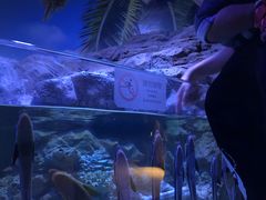 -成都浩海立方海洋公园