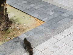 -建国328 本帮小馆·面馆