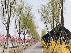 -永定河休闲森林公园