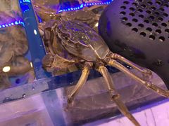 -澜悦港海鲜体验主题餐厅