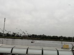-南大港湿地风景区
