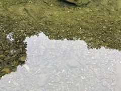 -宁波五龙潭景区