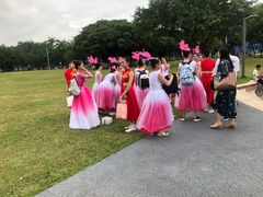 -万绿园