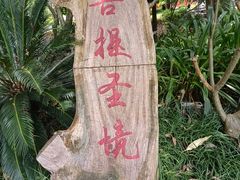 -南宁良凤江国家森林公园