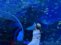 -海合安成都极地海洋公园