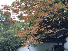 -法云安缦酒店