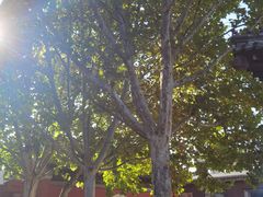 -嵩祝寺及智珠寺