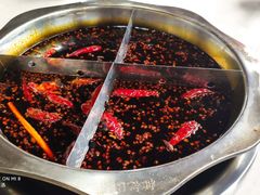 -枇杷园食为鲜火锅(南山店)