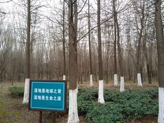 -长广溪湿地公园