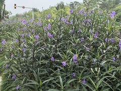 -雅达·阳羡溪山小镇中心