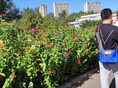 -长春公园(普阳街道)