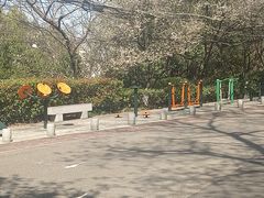 -北极阁公园