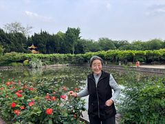 -嘉定紫藤园