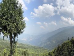 -云南屏边大围山国家公园