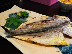 -鲤·鮨KOISUSHI