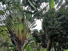 -红色娘子军纪念园