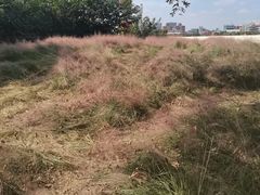 -上海山野camping·户外天幕烧烤·团建拓展营地