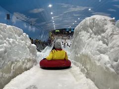 -世界之窗阿尔卑斯冰雪世界