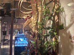 -觅唐MITONG(鸟巢店)