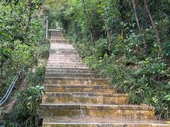 -小南山公园