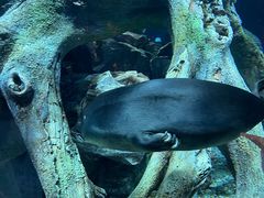 -珠海长隆海洋王国
